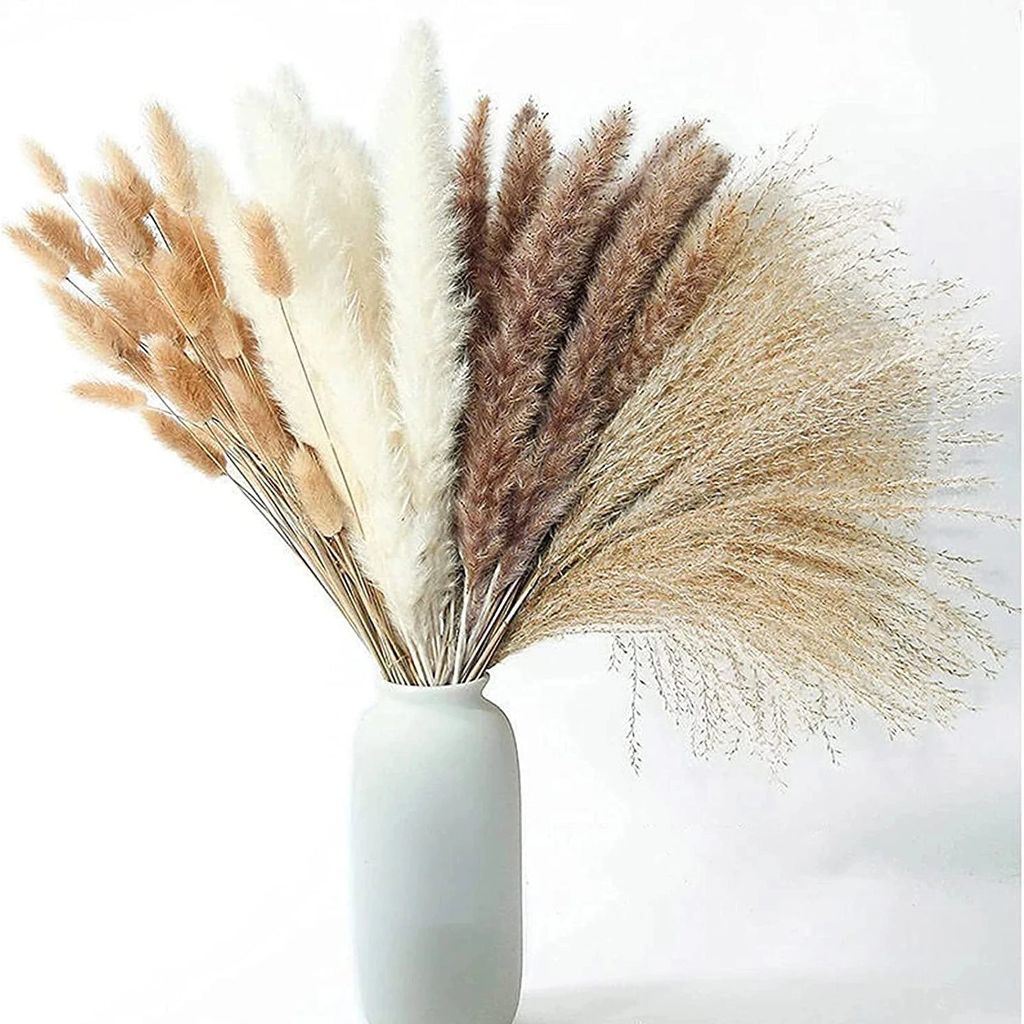 Natural Dried Pampas Rabbit Tail Bouquet