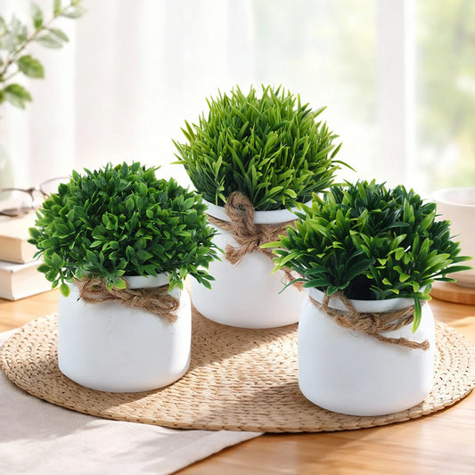 Faux Potted Plants for Tabletop & Events