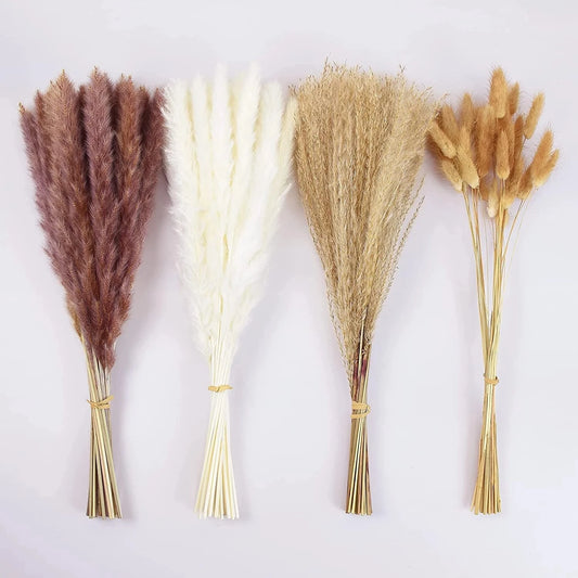 Natural Dried Pampas Rabbit Tail Bouquet