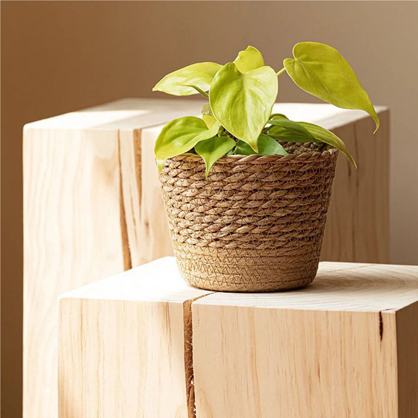 Boho Woven Plant Basket | Natural Wicker Indoor Pot Cover