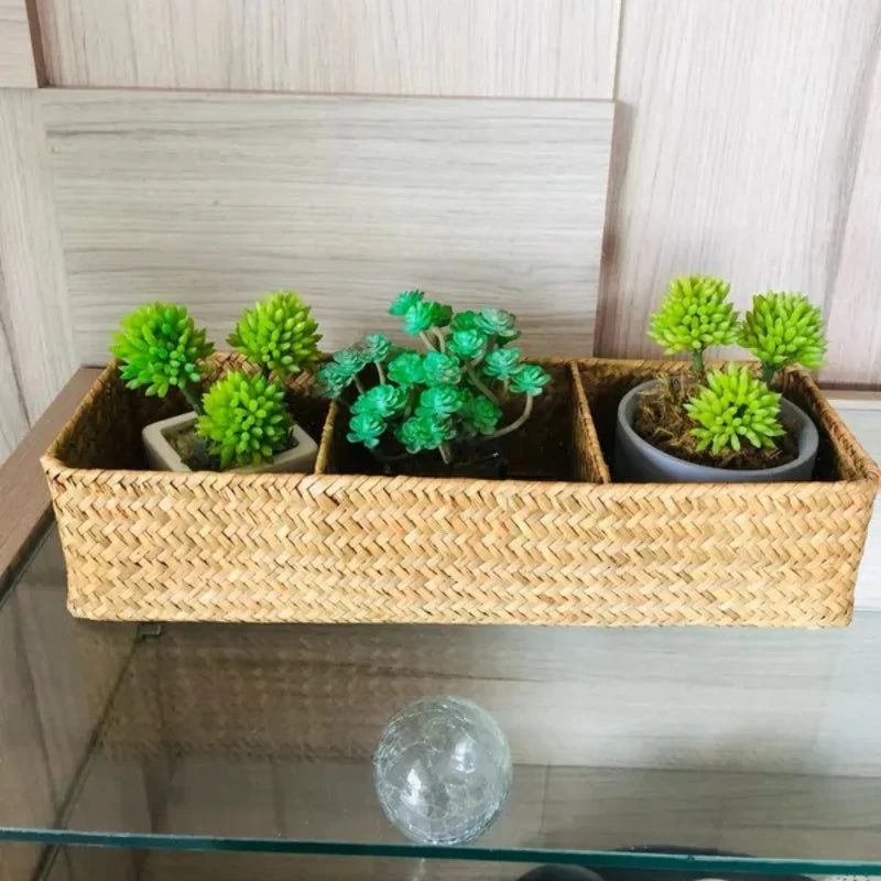 Hand-Woven 3-Section Storage Organizer with Lid
