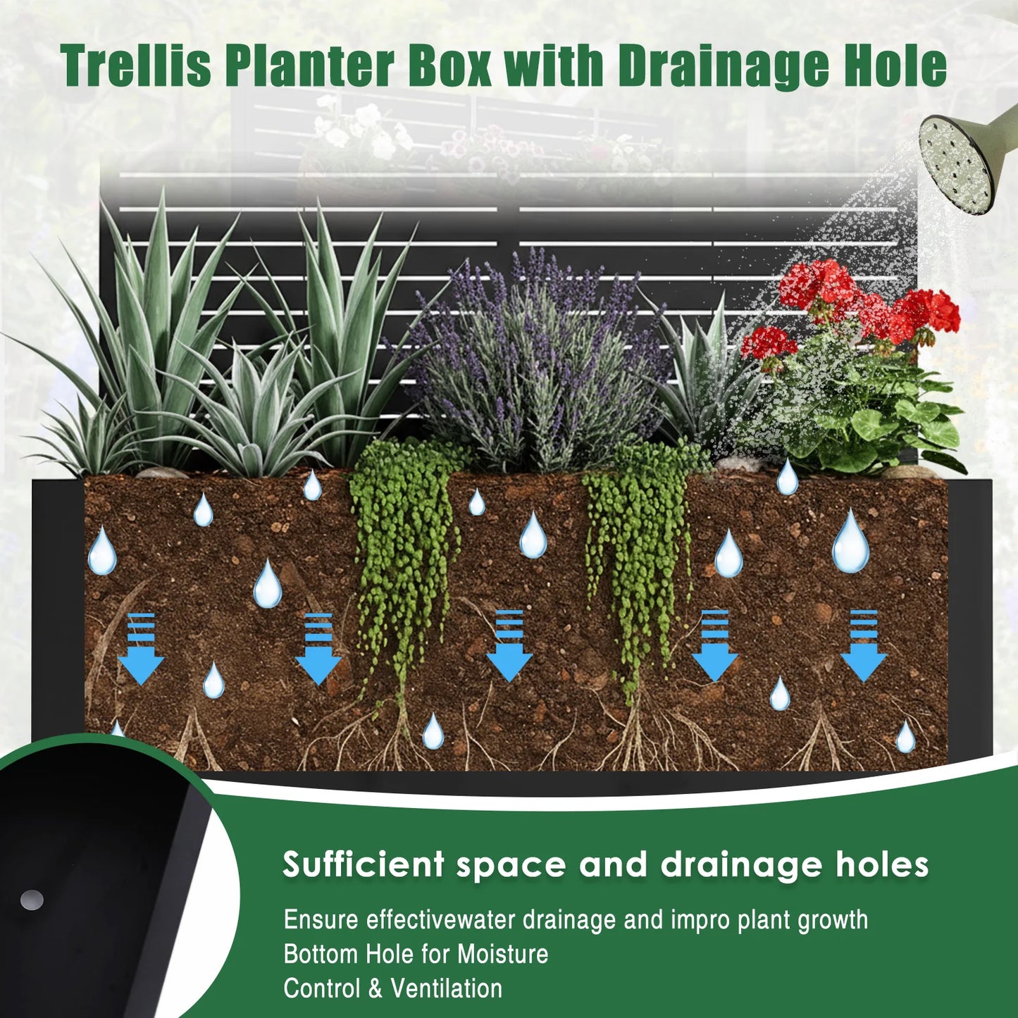 Raised Planter with Trellis Privacy Screen