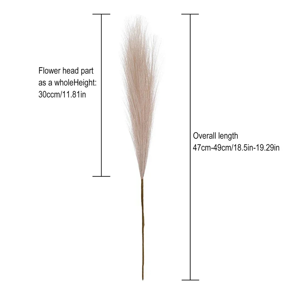 Pampas Grass Home Decor