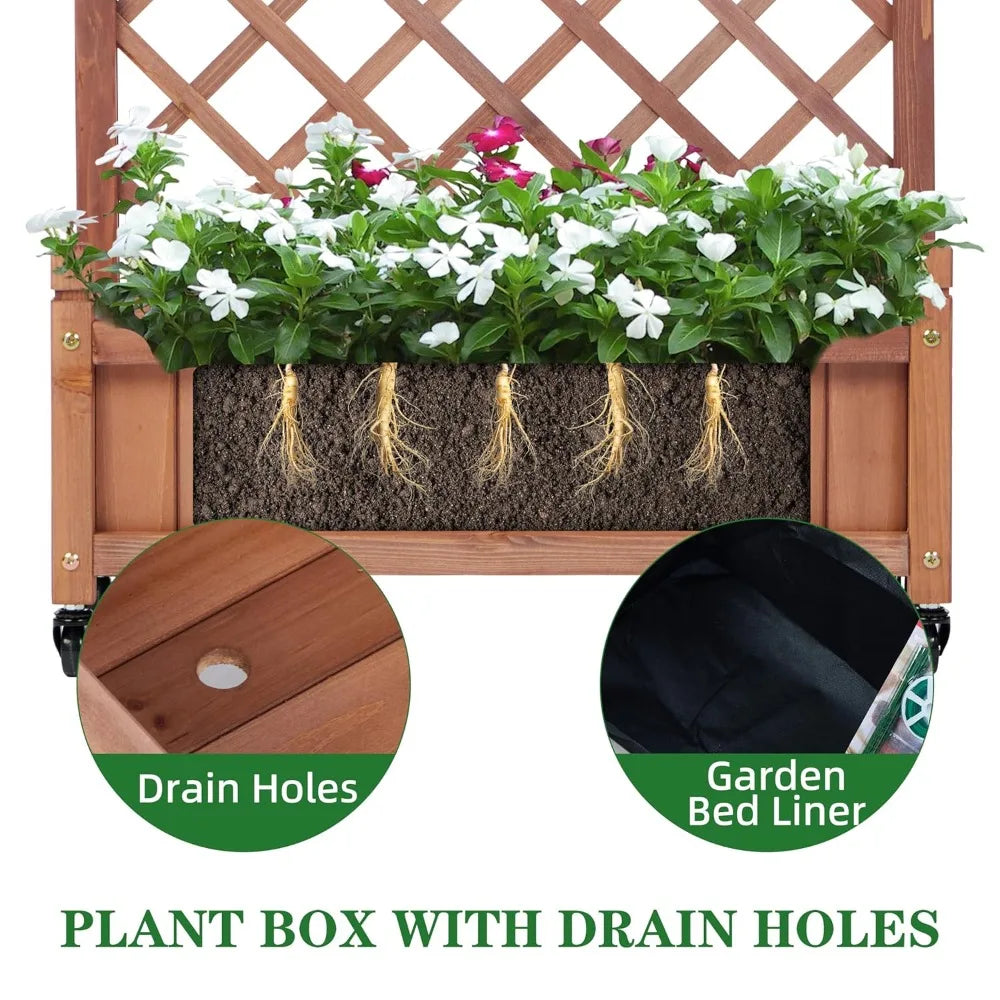 Raised Garden Bed with Trellis Set of 2,