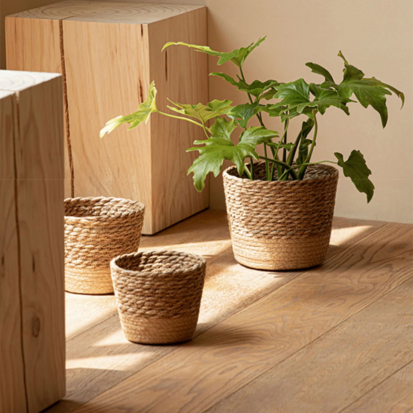 Boho Woven Plant Basket | Natural Wicker Indoor Pot Cover