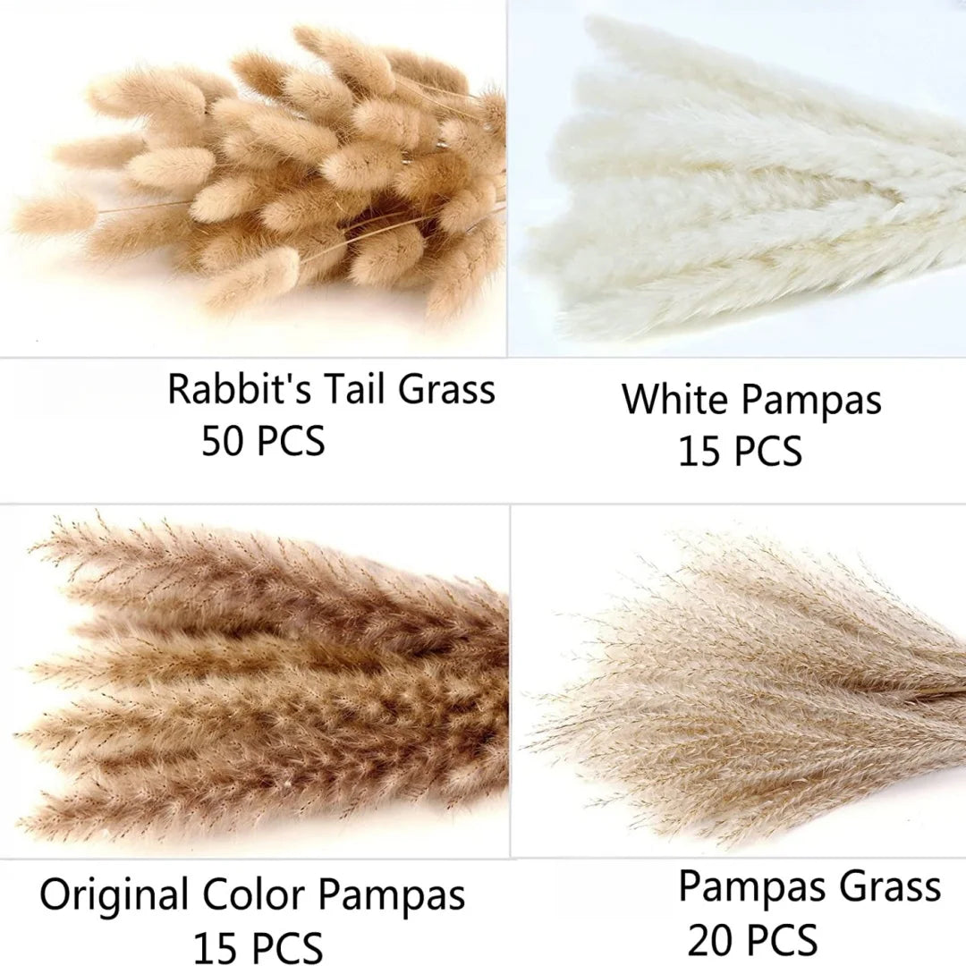 Natural Dried Pampas Rabbit Tail Bouquet