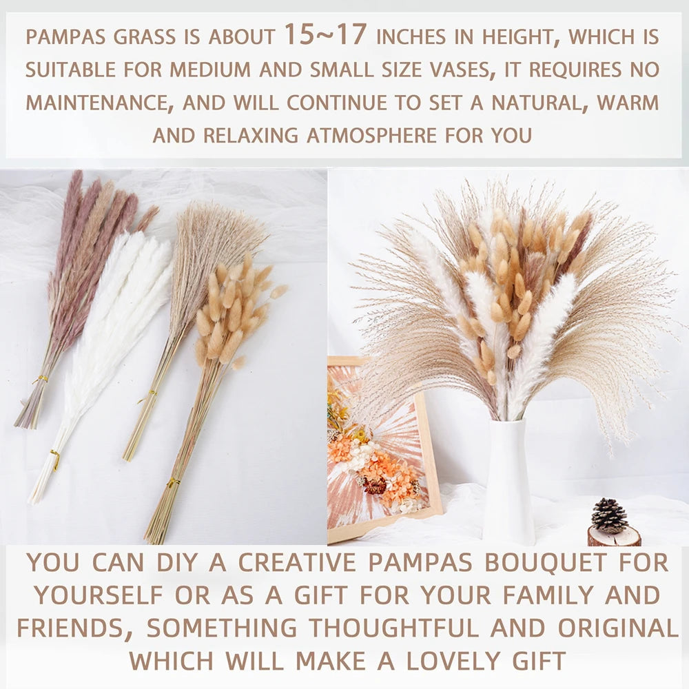 Dried Pampas Grass Decor 80-110 PCS with Bunny Tails