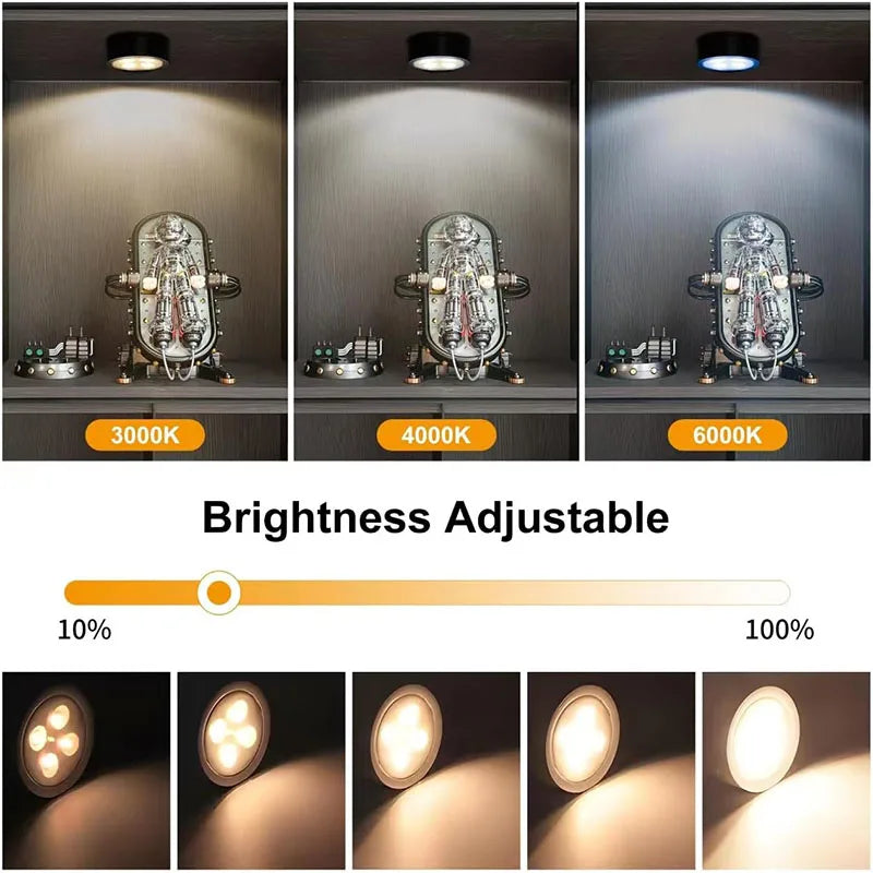 Magnetic LED Battery Operated Picture Light with Remote, Dimmable Timer 3 Lighting Modes