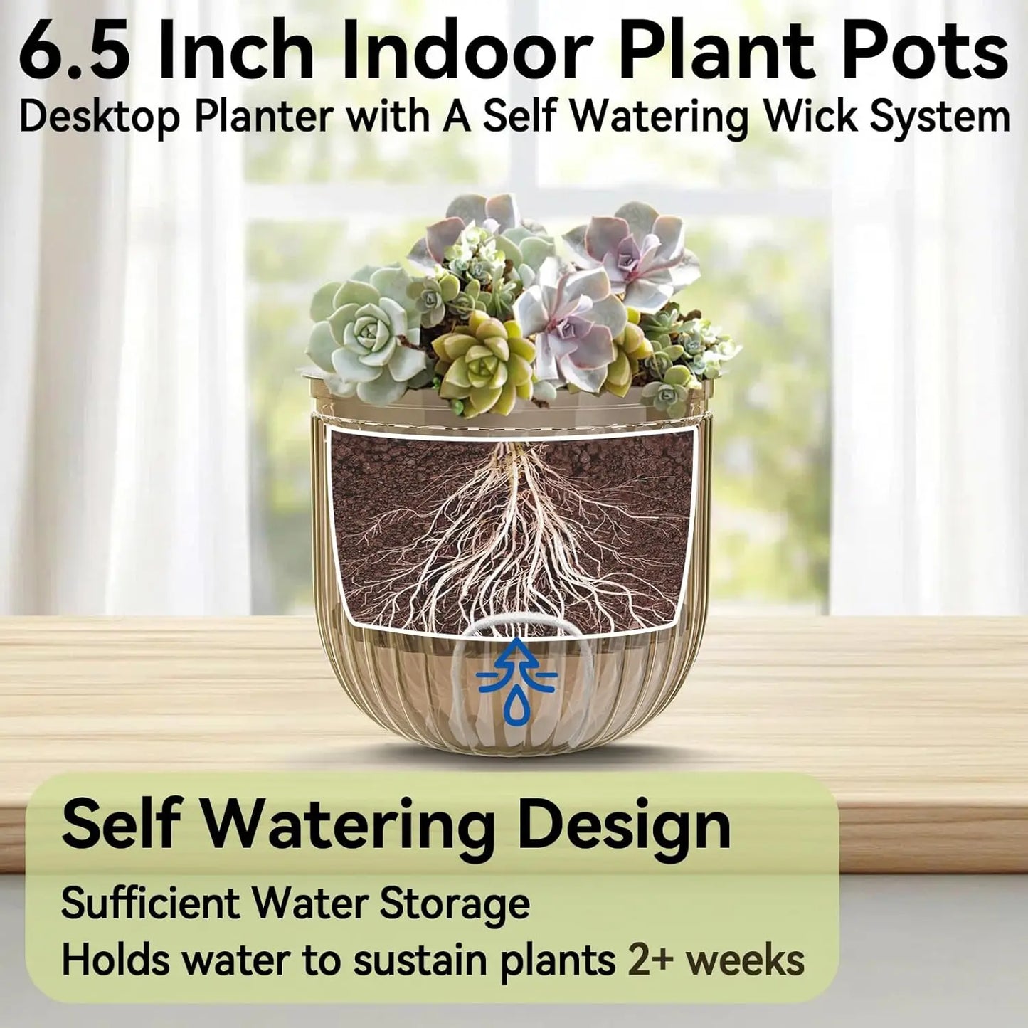 Hanging Planters - 3 Pack, 6.5 Inch