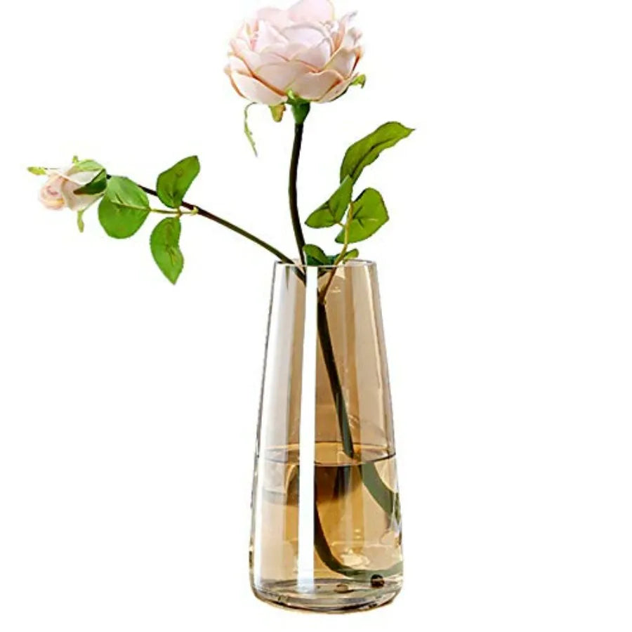 Elegant Modern Glass Vase for Tabletop Decor