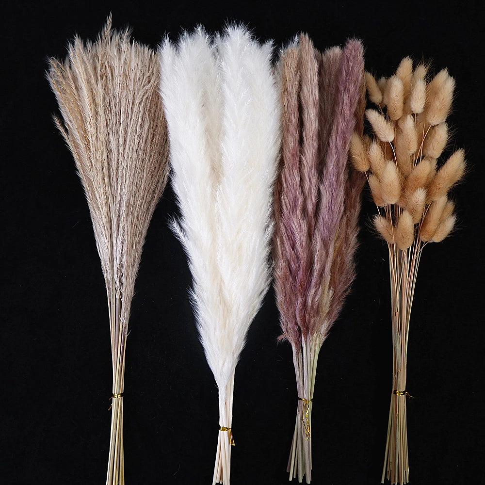 Dried Pampas Grass Decor 80-110 PCS with Bunny Tails