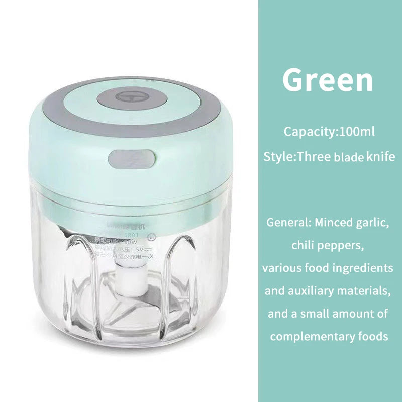 Electric Garlic Chopper (100ML/250ML) – Portable USB Mini Vegetable Grinder & Onion Mixer