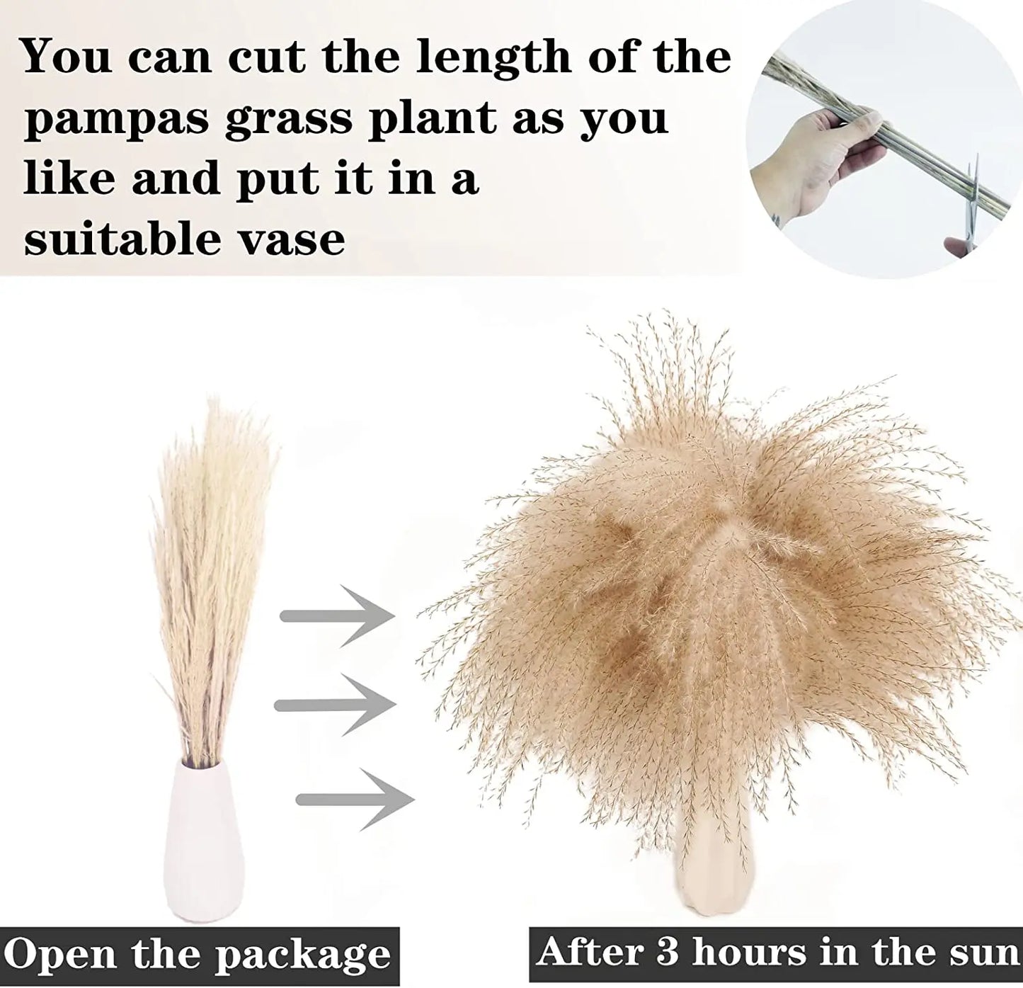 Natural Dried Pampas Rabbit Tail Bouquet