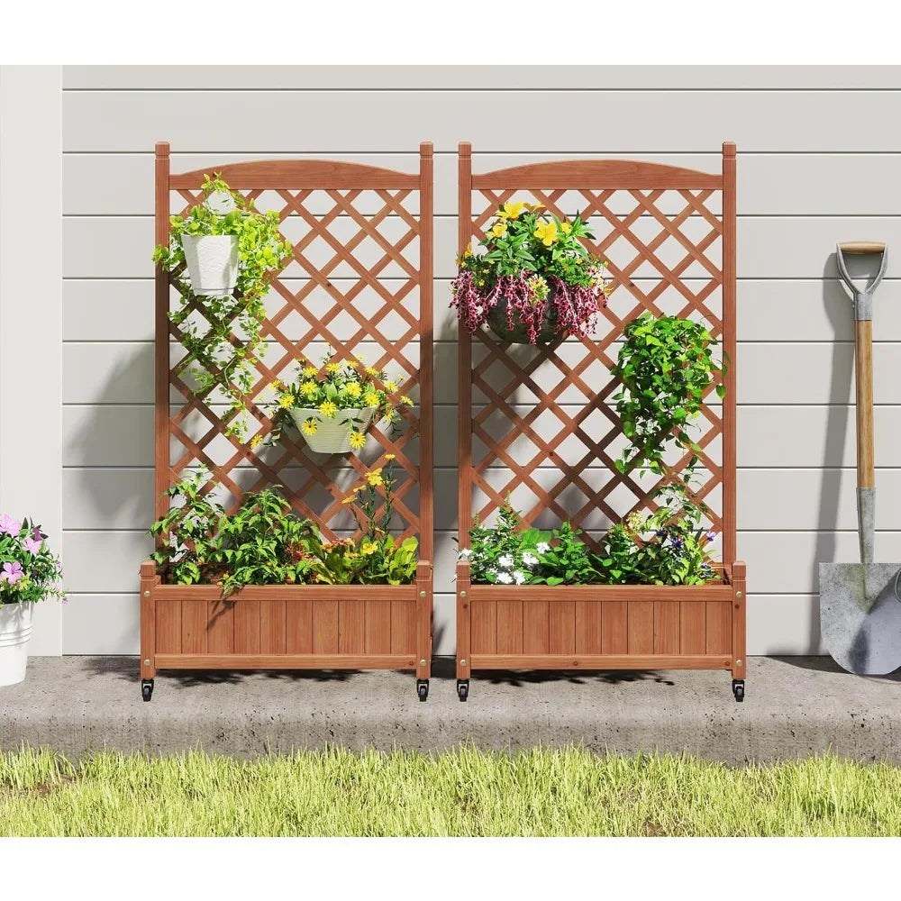 Raised Garden Bed with Trellis Set of 2,